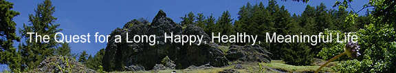 Personal Declaration of Interdependence